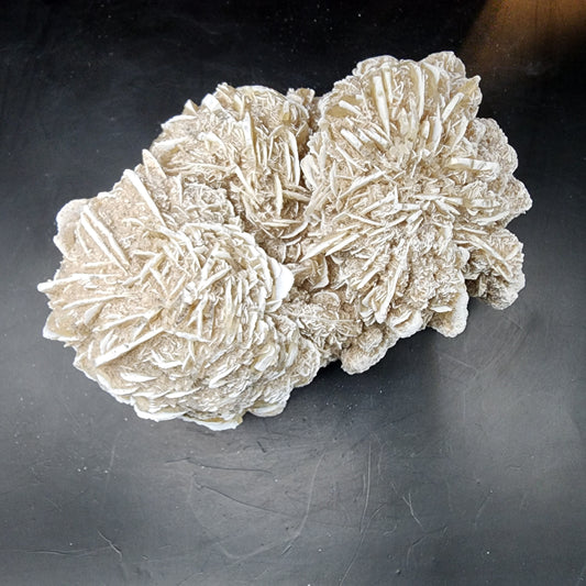 Desert Rose (Selenite)