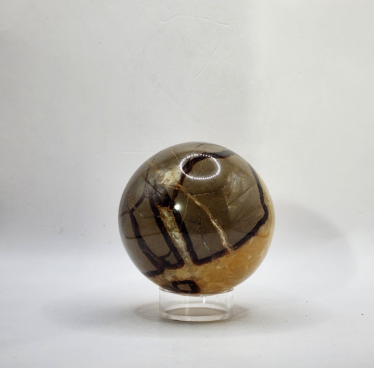 Caramel Brown Septarian Sphere