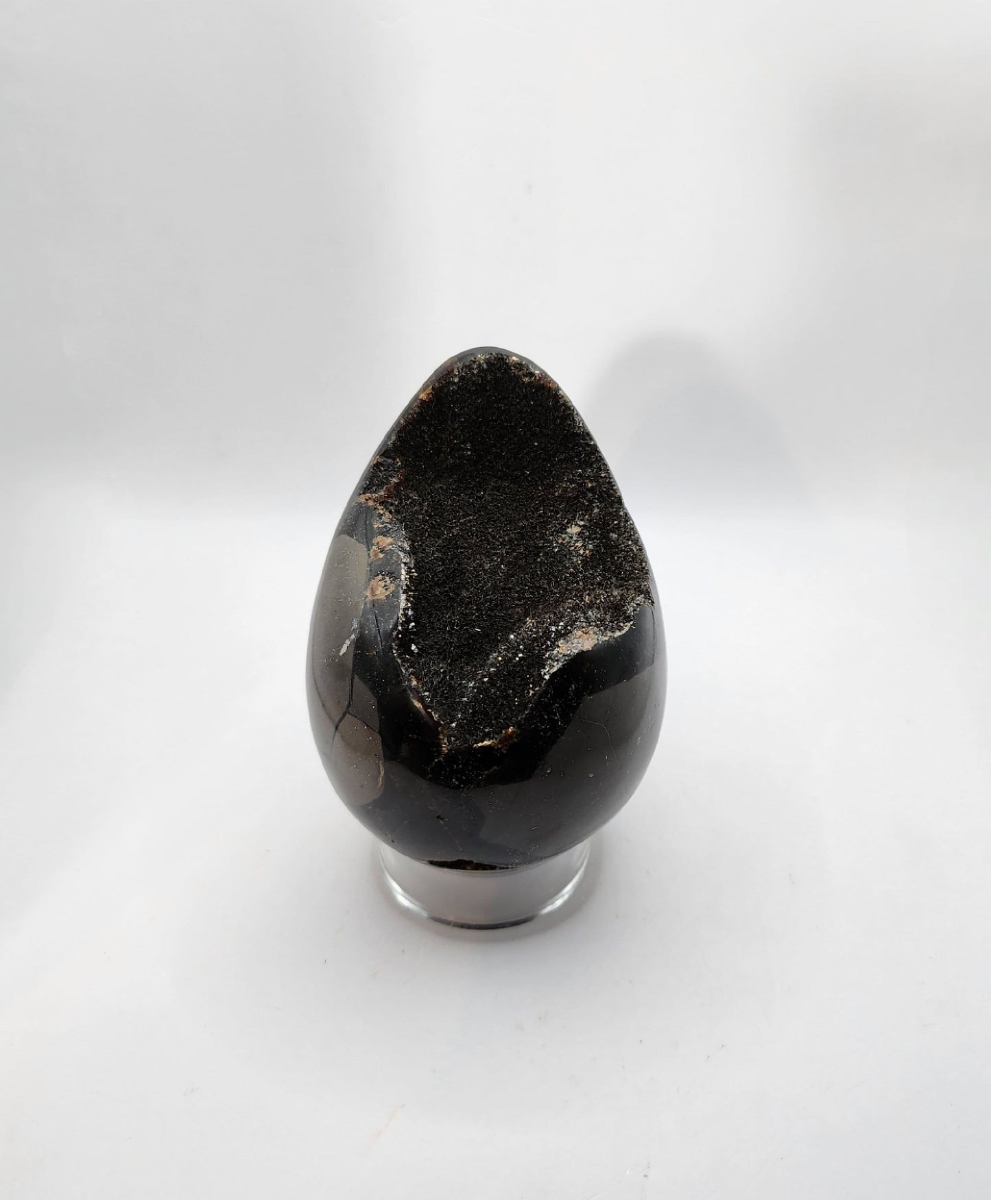 Black Sepatarian Egg