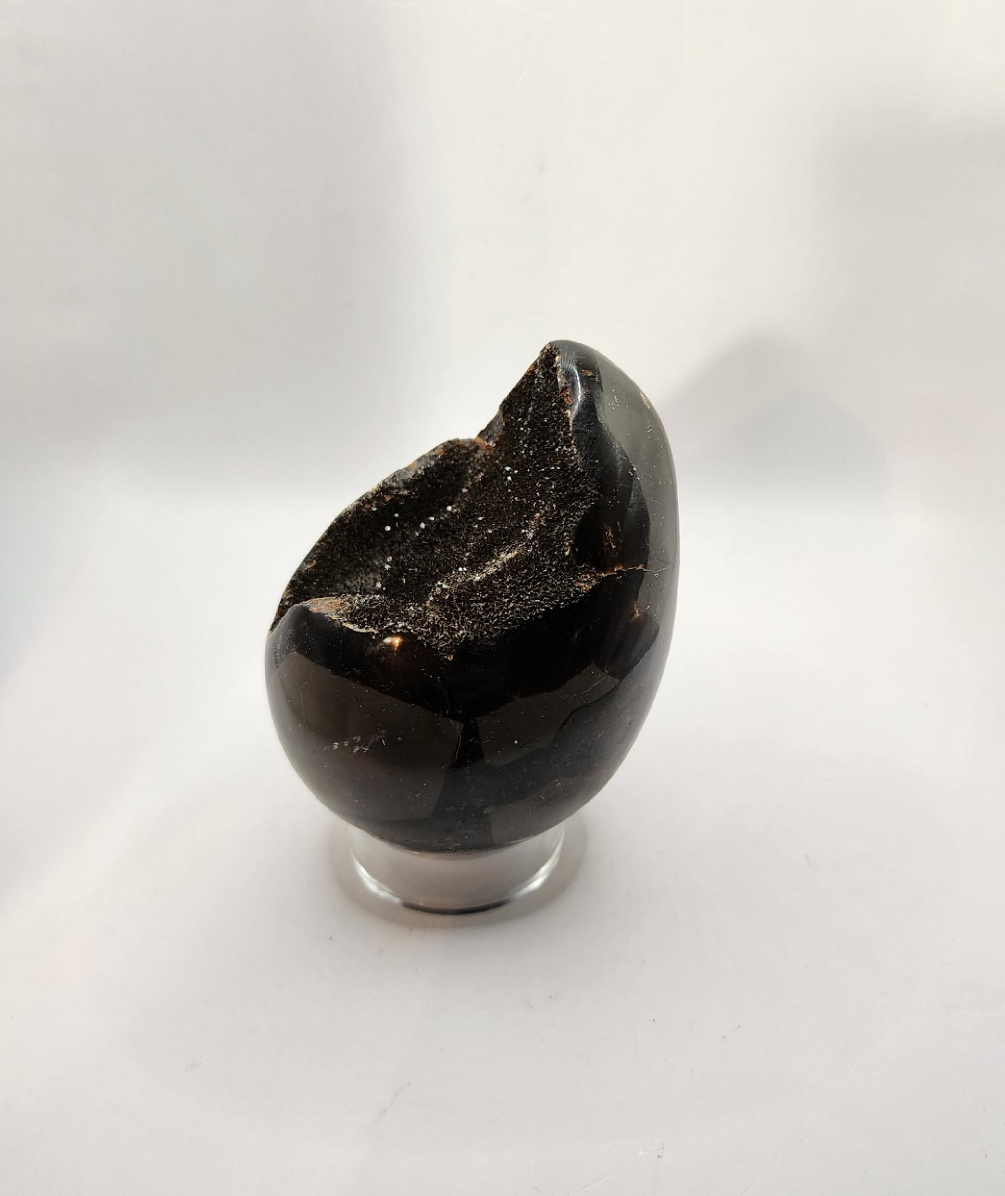 Black Sepatarian Egg