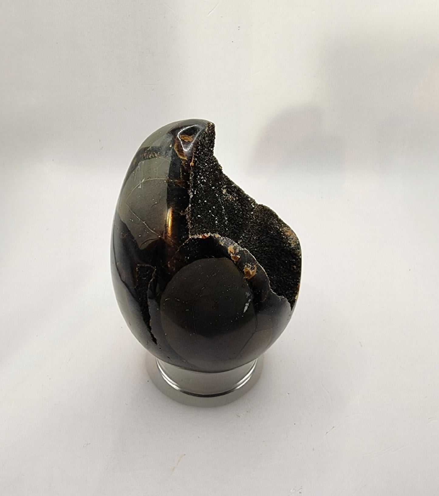 Black Sepatarian Egg